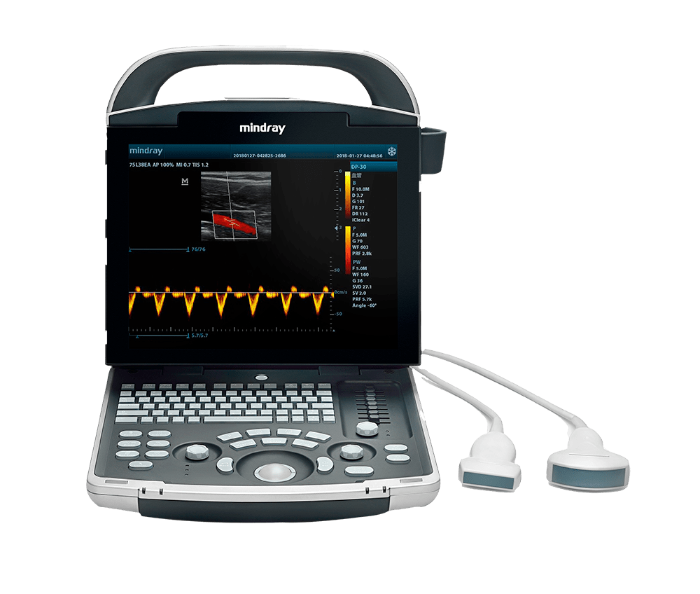 Ultrasonido Portátil B/N DP-30 